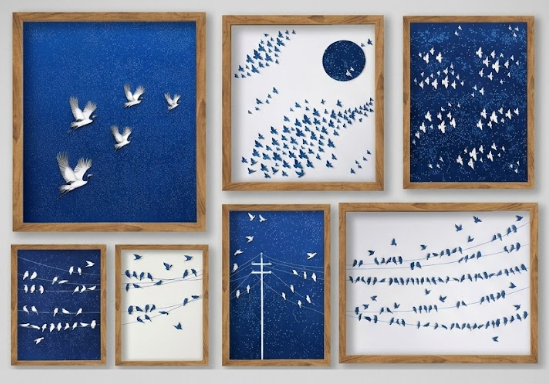 Blue Bird Series