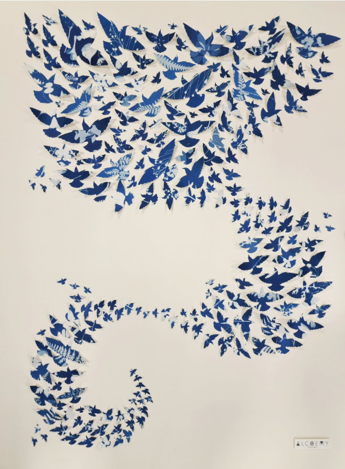 Murmuration Series